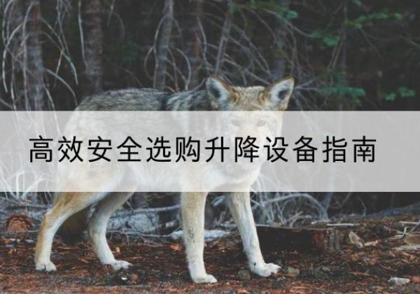 福安升降货梯厂家推荐-*安全选购升降设备指南