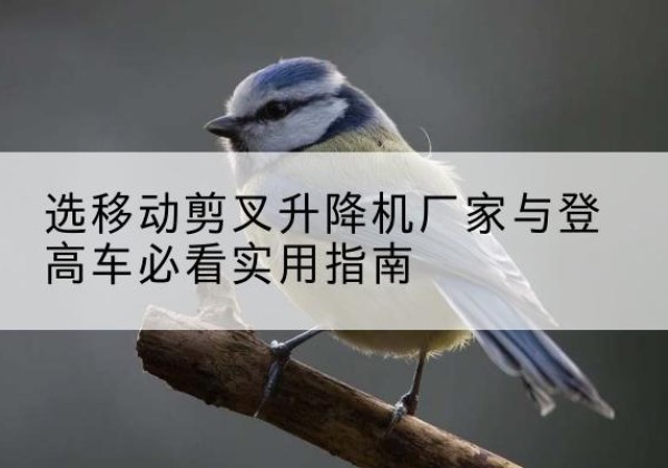福安电动升降机厂家-选移动剪叉升降机厂家与登高车必看实用指南